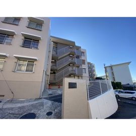 池上住宅 2階 築56年の賃貸物件