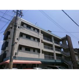 やなせハイツ 4階 築49年4ヶ月の賃貸物件