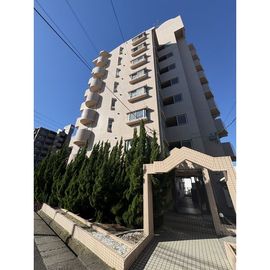 シャインビル 6階 築34年9ヶ月の賃貸物件