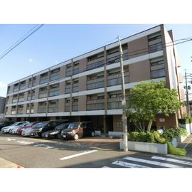 NSハイム 2階 築36年11ヶ月の賃貸物件