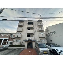 七反田ハイツA棟 3階 築36年11ヶ月の賃貸物件