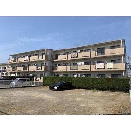 サンライズ白山の賃貸物件