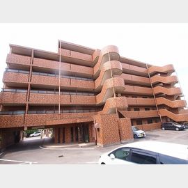 サンシャイン白山の賃貸物件