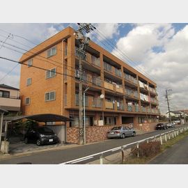 オオタかなれ川ハイツ 3階 築41年1ヶ月の賃貸物件