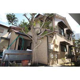 塩釜口駅より徒歩7分 1階 築60年6ヶ月の賃貸物件