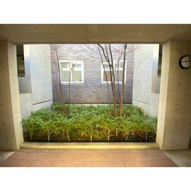 グリシーヌ藤英の賃貸物件