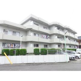 マンション柳 3階 築39年8ヶ月の賃貸物件