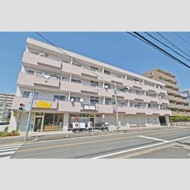 パティオ野並 4階 築38年10ヶ月の賃貸物件