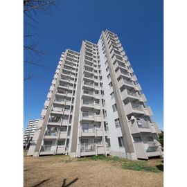 植田駅より徒歩12分 14階 築54年4ヶ月の賃貸物件