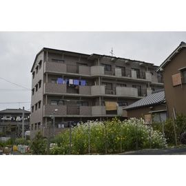 春田駅より徒歩9分 4階 築33年10ヶ月の賃貸物件