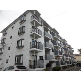 第六サンハイツ大森 4階 築36年2ヶ月の賃貸物件