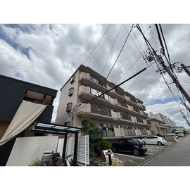 アベニューサンフラワー 3階 築31年2ヶ月の賃貸物件