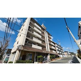 ローヤル白山 3階 築48年7ヶ月の賃貸物件