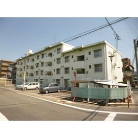 サンコーハイツ 1階 築50年8ヶ月の賃貸物件