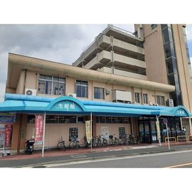 ラフィーネ楠の賃貸物件
