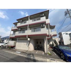シャトレコジマ 1階 築37年7ヶ月の賃貸物件