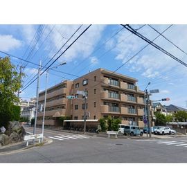 サンセイハイツ社台 2階 築30年8ヶ月の賃貸物件