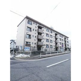 第二大幸ハイツ 4階 築51年9ヶ月の賃貸物件