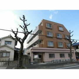 ベルメゾン常磐 4階 築38年10ヶ月の賃貸物件