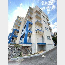 ヴィラシーボルト 5階 築30年3ヶ月の賃貸物件