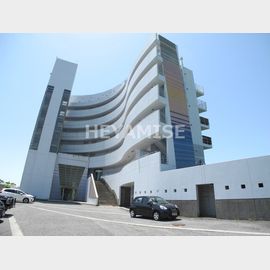 森山駅より徒歩73分 築34年9ヶ月 7階建の賃貸物件