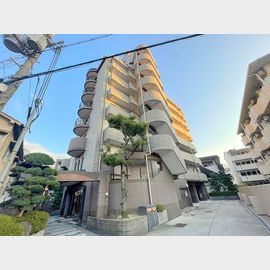 ワイズフィールド 3階 築31年11ヶ月の賃貸物件