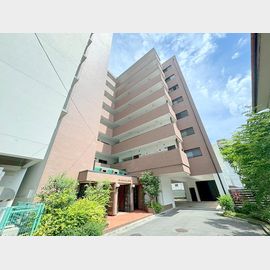 東淀川駅より徒歩6分 8階 築46年5ヶ月の賃貸物件