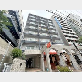 ハイツ新和 8階 築46年1ヶ月の賃貸物件