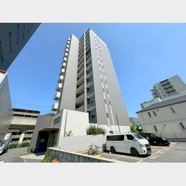 三国駅より徒歩5分 築11年9ヶ月 14階建の賃貸物件