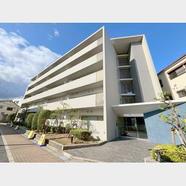 メゾン フェニックスの賃貸物件