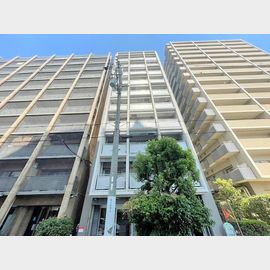 ドムス・ドイ 8階 築23年の賃貸物件