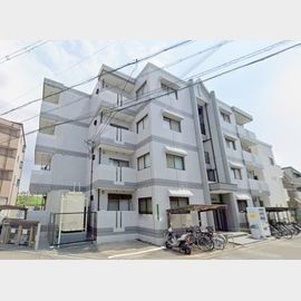 メゾン菊松の賃貸物件