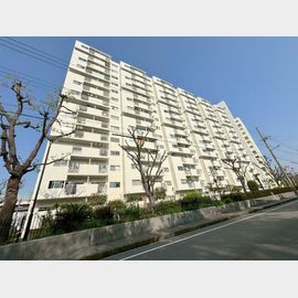十三駅より徒歩9分 築54年 11階建の賃貸物件