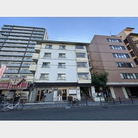 マンション新 4階 築49年1ヶ月の賃貸物件