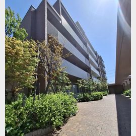 甲子園駅より徒歩13分 1階 築16年2ヶ月の賃貸物件