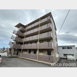 ドルフィン 4階 築19年8ヶ月の賃貸物件