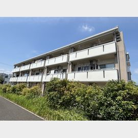 ＷｉｌｌｏｗＣｏｕｒｔ 3階 築14年の賃貸物件