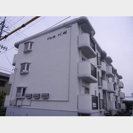 ドエル川村 3階 築34年7ヶ月の賃貸物件
