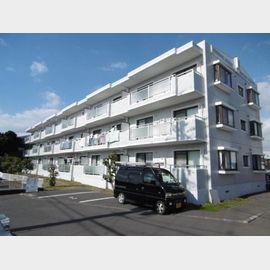 藤枝駅より徒歩12分 3階 築30年2ヶ月の賃貸物件