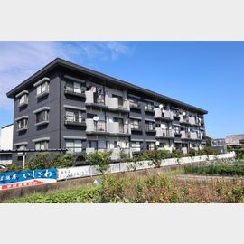 サンシャルム 1階 築39年7ヶ月の賃貸物件