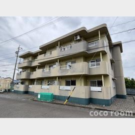 Live 1階 築31年3ヶ月の賃貸物件