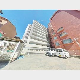 花畑駅より徒歩15分 5階 築4年8ヶ月の賃貸物件