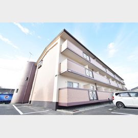 サンフォレスト 3階 築31年8ヶ月の賃貸物件