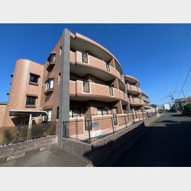 メゾンドームの賃貸物件