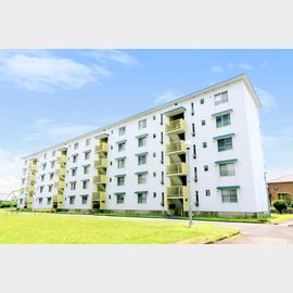 荒木駅より徒歩4分 5階 築48年9ヶ月の賃貸物件