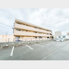 宮の陣駅より徒歩25分 3階 築29年1ヶ月の賃貸物件