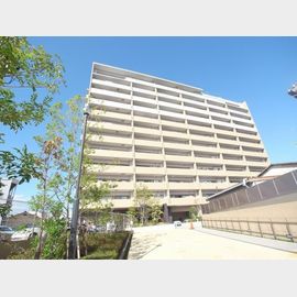 ポーラスター野中町の賃貸物件