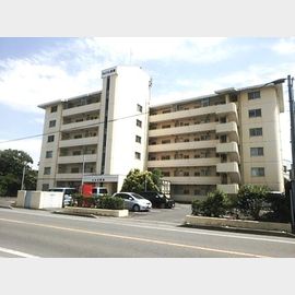 南久留米駅より徒歩15分 6階 築37年1ヶ月の賃貸物件