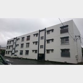 ビュークレスト高良内 1階 築50年3ヶ月の賃貸物件