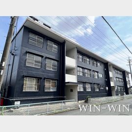 ぼたん 1階 築50年3ヶ月の賃貸物件